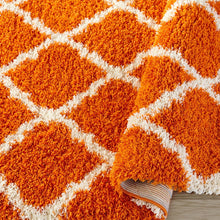 Load image into Gallery viewer, COZY2271-5X7 - Cozy Trellis Orange Shag Area Rug
